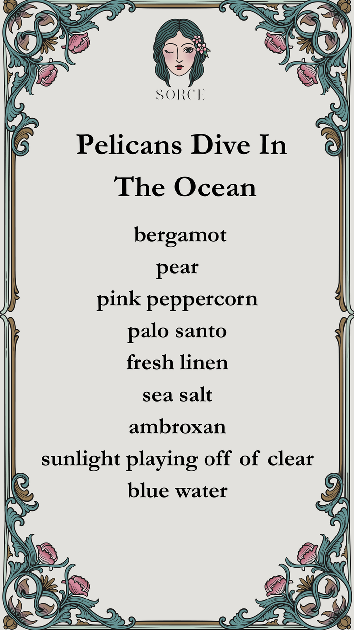 Pelicans Dive in the Ocean Extrait de Parfum - Special Order